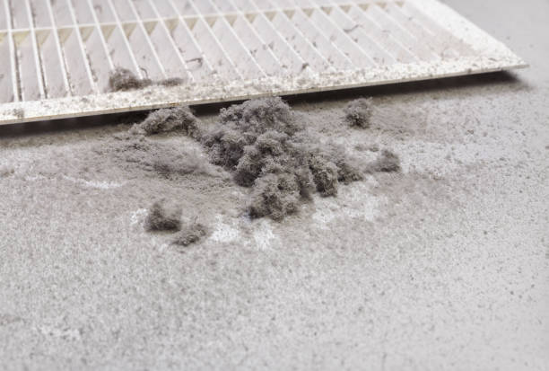 Best Local Air Duct Cleaning Services  in Elmendorf, TX