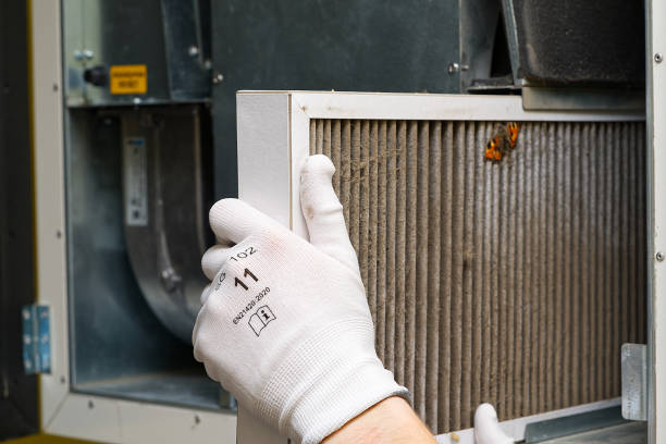 Best Best Air Duct Cleaning Company  in Elmendorf, TX