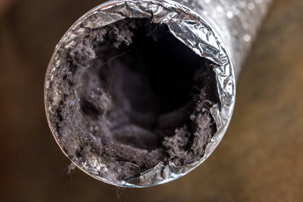 Best Air Duct Cleaning Near Me  in Elmendorf, TX