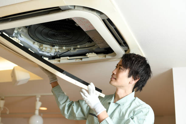 Best Affordable Air Duct Cleaning  in Elmendorf, TX